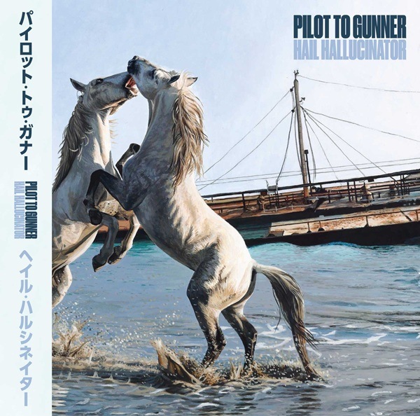 PILOT TO GUNNER / Hail Hallucinator CD