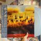 BONOBO / Distance In Static 2xLP(BLUE)+OBI+DL COUPON