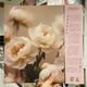 CRITERIA / Ceize! LP(PINK)+OBI