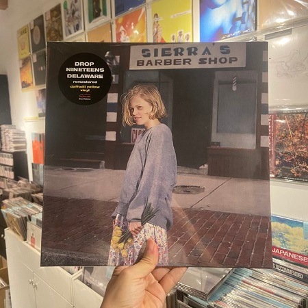 DROP NINETEENS / Delaware  LP(YELLOW)