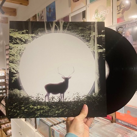 LITE / Installation LP