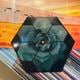 BOARDS OF CANADA / Inferno: Deluxe Edition 2xLP(RED)+FLEXI+OBI