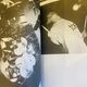 toe / toe 25th Anniv. Book ��Days Chiaroscuro��