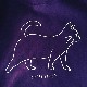 STIFFSLACK / Cat Sweat (PERPLE)