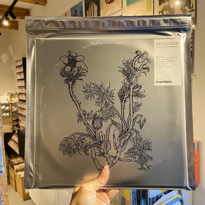 CHEVAL DE FRISE / Fresques Sur Les Parois Secretes Du Crane  LP(WHITE)