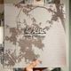JEJUNE / Wait A Lifetime 5xLP