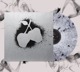 SILVER APPLES / st  LP