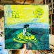ANIMAL COLLECTIVE / Prospect Hummer  12"