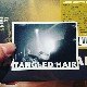 TANGLED HAIR / We Do What We Can  CD+T-shirts  BUNDLE
