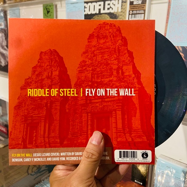 RIDDLE OF STEEL / TRAINDODGE / Fly On The Wall / Robowindows 7"(USED)