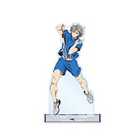 TV���˥�֥�֥�����ץ졼�� BIG������륹����ɡ�ͷ�� ���͡ˡ�ͽ���