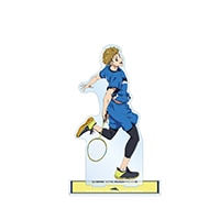 TV���˥�֥�֥�����ץ졼�� BIG������륹����ɡ��컳 ����ˡ�ͽ���