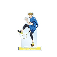 TV���˥�֥�֥�����ץ졼�� BIG������륹����ɡ��컳 �ۼ��ˡ�ͽ���