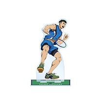 TV���˥�֥�֥�����ץ졼�� BIG������륹����ɡʲ��� ʹ��ˡ�ͽ���