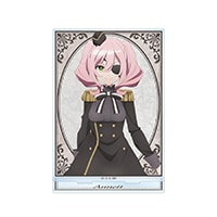 TV˥֥ѥ BIG륹ɡʥͥåȡˡͽ