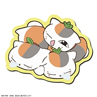 ֲͧĢץСޥѥå (ǥ04 ȥץ˥/B)ͽ