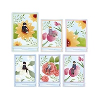 ֥֥100 ץȥ졼ǥ Botania 륹ɡBOXۡͽ