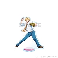 TV���˥��˺�ѥХåƥ꡼�٥�����륹����ɥե����奢���� ���ˡ�ͽ���