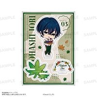 إꥹޡ٥륹ɡAutumn ver.ܶ ͱ