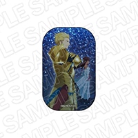 TV���˥��Fate/strange Fake�٥�����������Хå� �ƥ����͡������륯&�������㡼��ͽ���