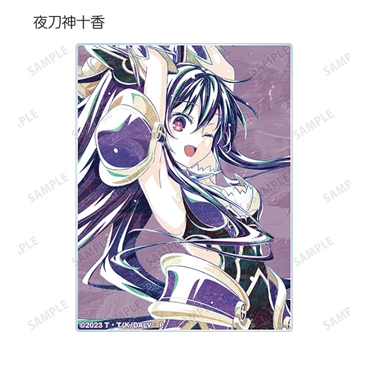 ���˥�֥ǡ��ȡ������饤��V�ץȥ졼�ǥ��� Ani-Art ������륫���ɡ�BOX�ۡ�ͽ���