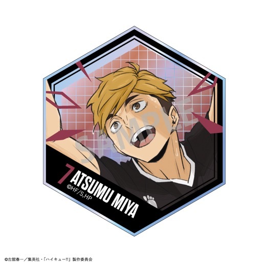 �֥ϥ����塼!!�ץϥ˥����ɥ��쥯������BOX�ۡ�ͽ���