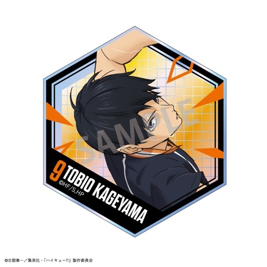 �֥ϥ����塼!!�ץϥ˥����ɥ��쥯������BOX�ۡ�ͽ���