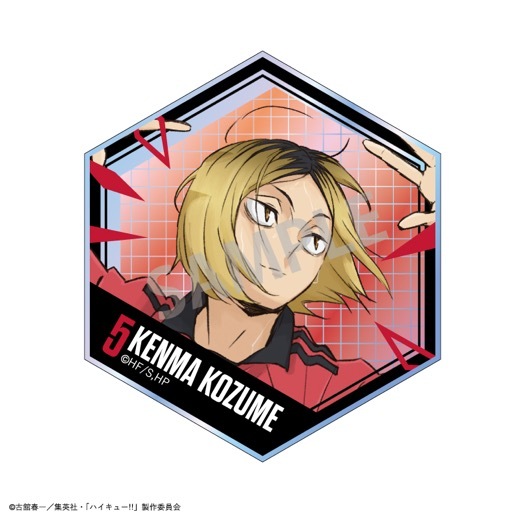 �֥ϥ����塼!!�ץϥ˥����ɥ��쥯������BOX�ۡ�ͽ���