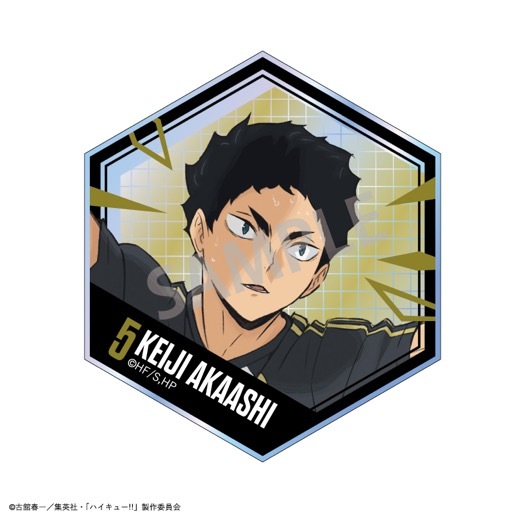 �֥ϥ����塼!!�ץϥ˥����ɥ��쥯������BOX�ۡ�ͽ���