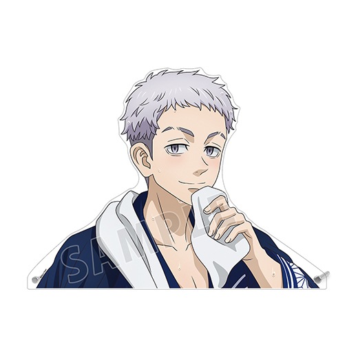 TV���˥�������٥󥸥㡼�������������� �������ver. ����������åȥ������ѥͥ�ʻ���ëδ�ˡ�ͽ���