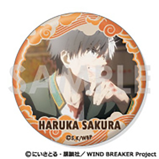 TV���˥��WIND BREAKER�ٴ̥Хå����åȡ��� �ڤ����äѤ����쥯��������ͽ���