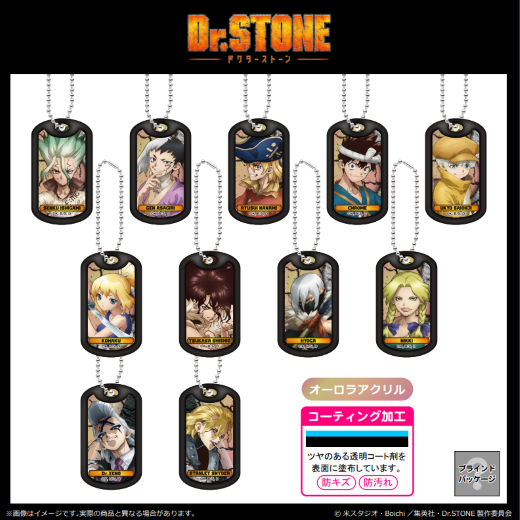 ��Dr.STONE�٥������ɥå����������ۥ������BOX�ۡ�ͽ���