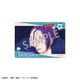 �֥֥롼���å���picharm������ȥ꡼�ե��å�����BOX�ۡ�ͽ���