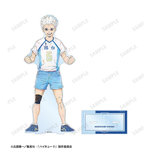 ���˥�֥ϥ����塼!!��Ani-Art ��6�� ���祢����륹�����(��������)��ͽ���