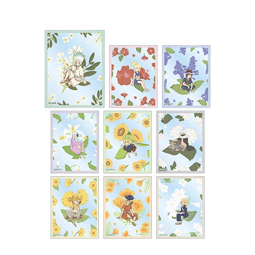 非売品★A賞アクリルボードドクターストーンLIMITED SHOP INOIOI 非売品☆A賞アクリルボードドクターストーンLIMITED SHOP INOIOI