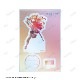 �ط���� �����ɥ����ȡ�����饤�� -�ץ�����å���- ̽��ͼ�ǤΥ�����ĥ��� Ani-Art clear label �ѡ����դ�BIG������륹����ɡʥ����ʡˡ�ͽ���