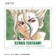 TV���˥��Dr.STONE�ץȥ졼�ǥ��� Ani-Art ��3�� ������륫���ɡ�BOX�ۡ�ͽ���