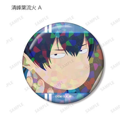 TV���˥��˺�ѥХåƥ꡼�ץȥ졼�ǥ��󥰾��̼̥ۥ������̥Хå� vol.2��BOX�ۡ�ͽ���