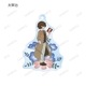 ʸ륹ȥ쥤ɥå٥ȥ졼ǥ Botania 륭ۥBOXۡͽ