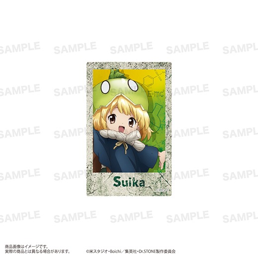 Dr.STONE ドクスト トレーディングアクリルカード 未開封　7点 Dr.STONE ドクスト トレーディングアクリルカード 未開封 7点 Dr
