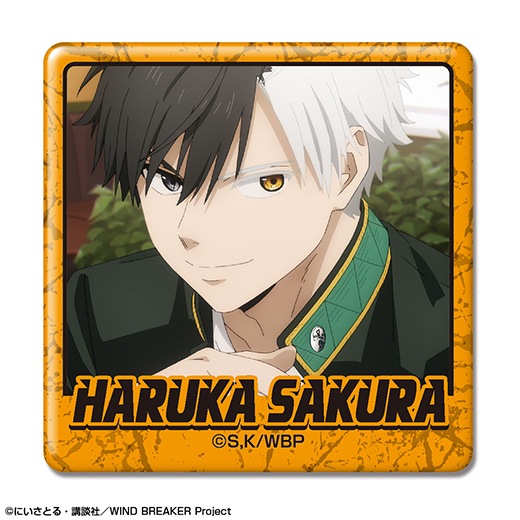 TV���˥��WIND BREAKER�פפ��äȥХå����쥯������BOX�ۡ�ͽ���