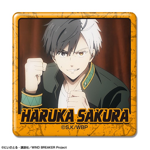 TV���˥��WIND BREAKER�פפ��äȥХå����쥯������BOX�ۡ�ͽ���