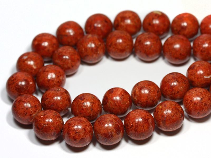 希少】天然龍宮舎利龍亀ロングイ