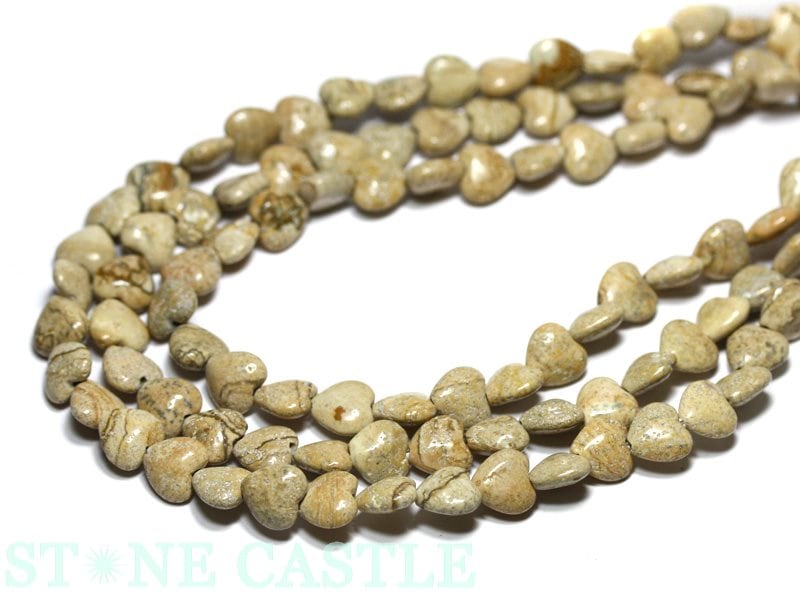 �ڥ��åȥӡ����ۥԥ����㡼���㥹�ѡ� �ϡ��ȷ� 8mm (���̸��꾦��)