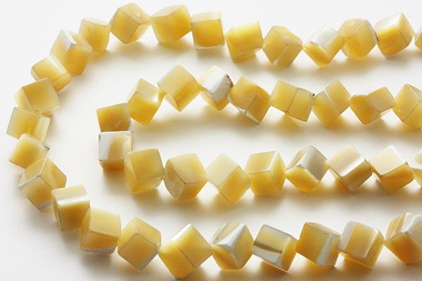 �ڥ��åȥӡ����ۥޥ������֥ѡ��� �ʥ����� ���塼�ַ� 6mm