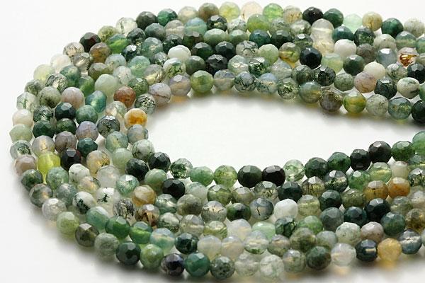 �ڥ��åȥӡ����ۥ⥹���꡼�󥢥����� 64�̥��å� 4mm