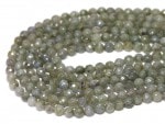 �ڥ��åȥӡ����ۥ�֥�ɥ饤�� 64�̥��å� 6mm