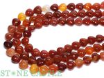 �ڥ��åȥӡ�����ŷ�������ͥꥢ�� (2A) �ϡ��ȷ� 12mm