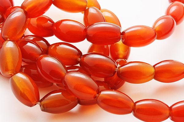 �ڥ��åȥӡ�����ŷ�������ͥꥢ��(2A) �Ʒ� 8��12mm