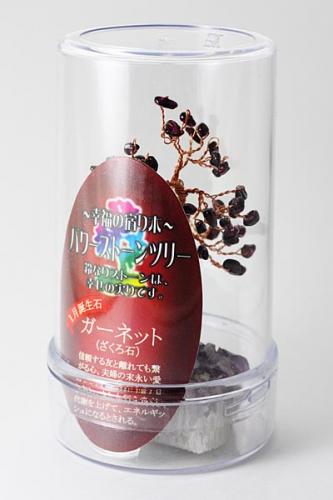 ڥƥꥢХĥ꡼ѥå(ߥ) DMءͥݥԲĢ